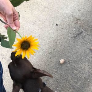 Meet your Posher, Amber